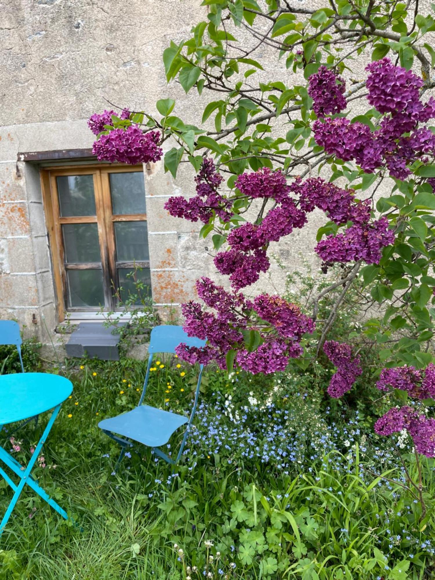 Bed and Breakfast Chez Fabrice Le Pertuis Экстерьер фото